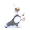 Polished Agate Stone - 4