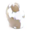 Ornamental Agate - 3