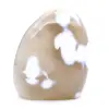 Ornamental Agate - 4