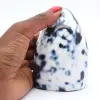 Collectible Agate - 1