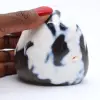 Natural Collectible Agate - 1