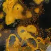 Indonesian Bumblebee Jasper: Polished Natural Stone Ornament - 15