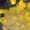 Freeform Bumblebee Jasper: Authentic Collector's Specimen - 12