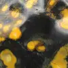 Freeform Bumblebee Jasper: Authentic Collector's Specimen - 13
