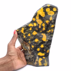 Freeform Bumblebee Jasper: Authentic Collector's Specimen