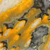 Bumblebee Jasper: Polished Freeform for Collectors - 8