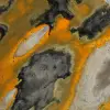 Bumblebee Jasper: Polished Freeform for Collectors - 9