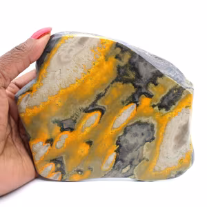 Bumblebee Jasper: Polished Freeform for Collectors