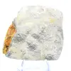 Bumblebee Jasper Ornament: Exceptional Mineralogy - 6