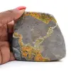 Bumblebee Jasper - 5