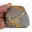 Bumblebee Jasper — 5