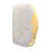 Indonesian Bumblebee Jasper: Small Polished Specimen - 6