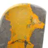 Indonesian Bumblebee Jasper: Small Polished Specimen - 7