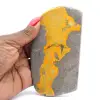 Bumblebee Jasper - 6
