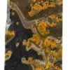 Small Polished Bumblebee Jasper: Specimen from Indonesia - 7