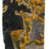 Small Polished Bumblebee Jasper: Specimen from Indonesia - 8