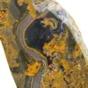 Polished Bumblebee Jasper: Indonesian Collectible Ornament - 8