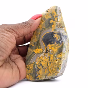 Polished Bumblebee Jasper: Indonesian Collectible Ornament
