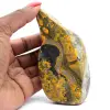 Polished Bumblebee Jasper: Mineralogical Specimen from Indonesia - 0