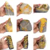 Bumblebee Jasper - 0