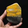 Bumblebee Polished Indonesia Collection - 1