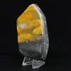 Bumblebee Polished Indonesia Collection - 2