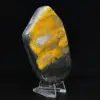 Bumblebee Polished Indonesia Collection - 3