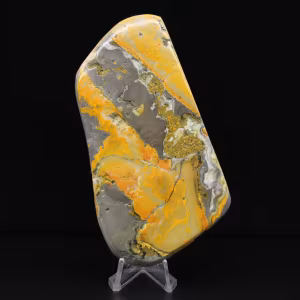 Jasper Bumblebee Specimen Volcanic Rock