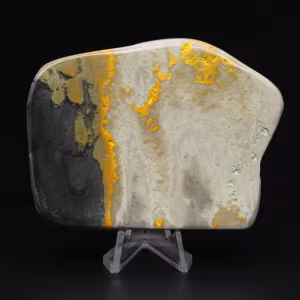 Jasper Bumblebee Specimen Authenticity Decoration
