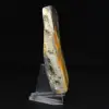 Authentic Jasper Bumblebee Ornament Decor - 5