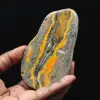 Bumblebee Jasper Specimen Polished Science Collection - 1