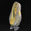 Bumblebee Jasper Specimen Polished Science Collection - 2