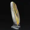 Bumblebee Jasper Specimen Polished Science Collection - 3