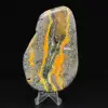 Bumblebee Jasper Specimen Polished Science Collection - 4