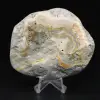 Polished Jasper Bumblebee Ornament, Indonesia, Rare - 6