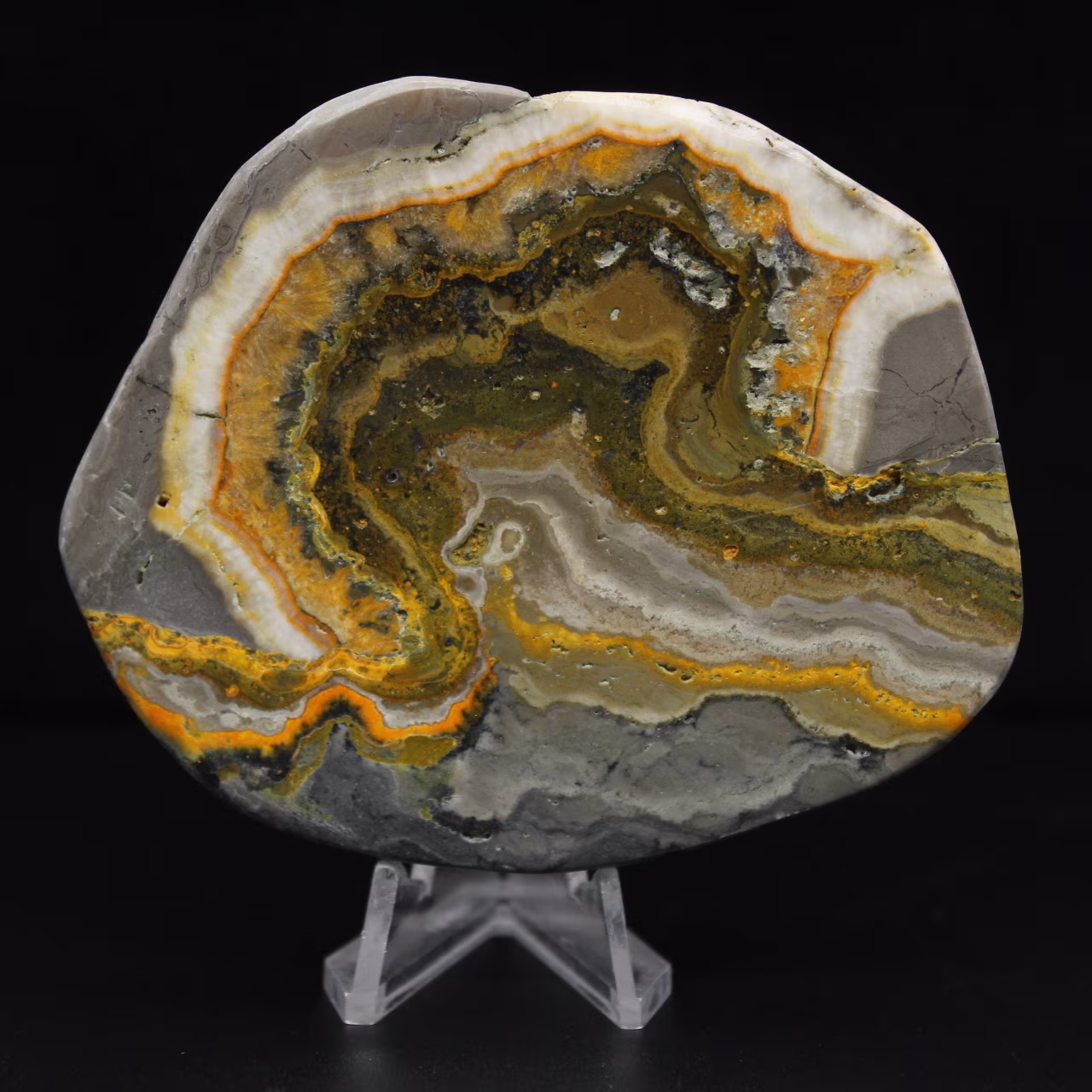Polished Jasper Bumblebee Ornament, Indonesia, Rare