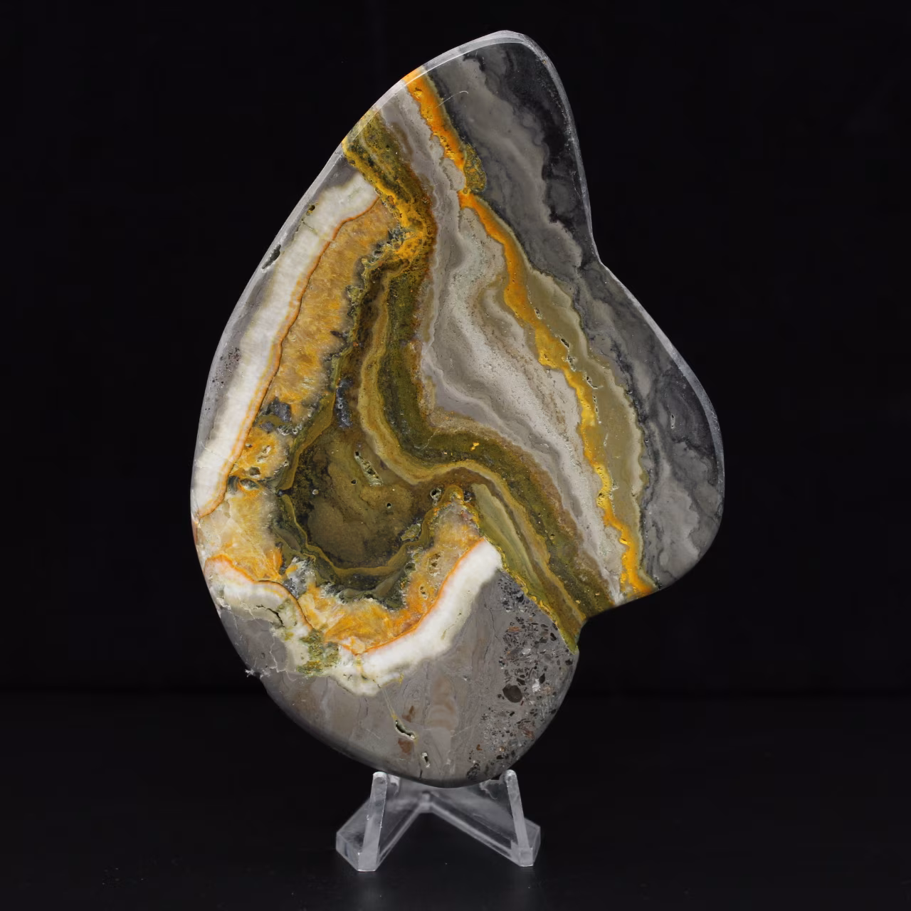 Polished Bumblebee Jasper Rock Mineral Science