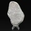 Bumblebee Jasper Large Polished Stone Collection - 6