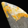 Small Polished Jasper Bumblebee Collection Decoration - 7