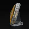 Bumblebee Jasper Natural Stone of Authenticity - 3
