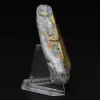 Bumblebee Jasper Natural Stone of Authenticity - 5