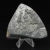 Bumblebee Jasper Natural Stone of Authenticity - 6