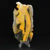 Sliced Indonesian Bumblebee Jasper - 0