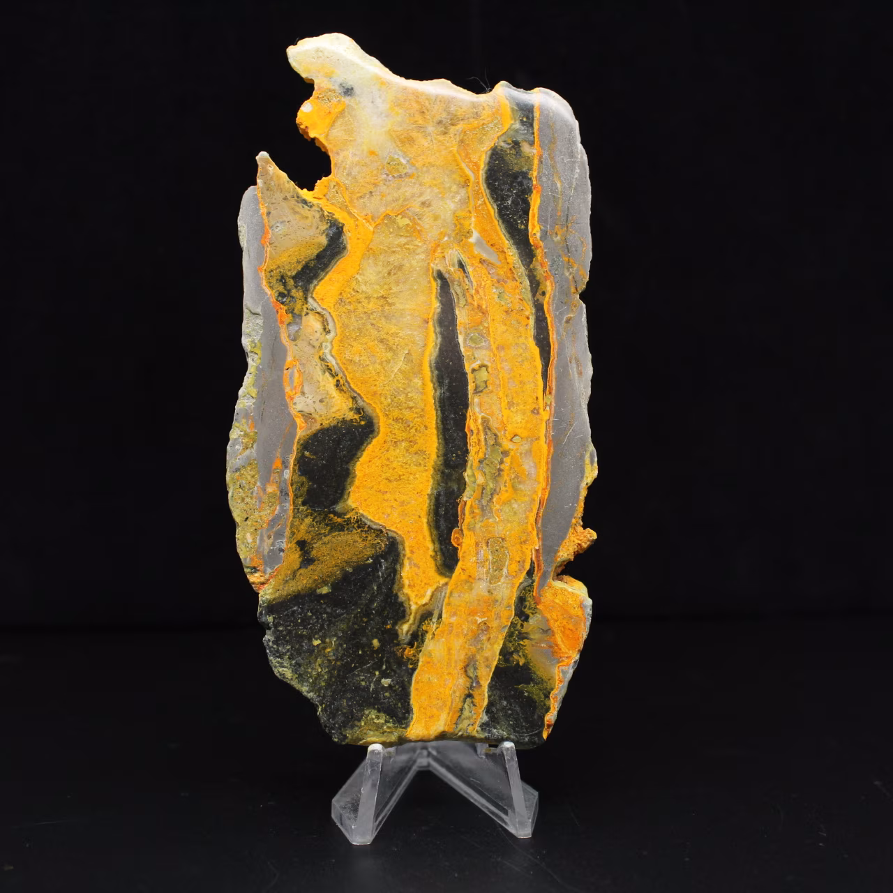 Sliced Indonesian Bumblebee Jasper