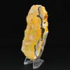 Indonesian Bumblebee Jasper Slice - 2
