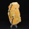 Indonesian Bumblebee Jasper Slice - 4