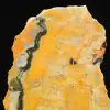 Indonesian Bumblebee Jasper Slice - 7