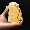 Indonesian Bumblebee Jasper Slice - 1