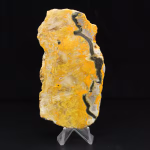 Indonesian Bumblebee Jasper Slice