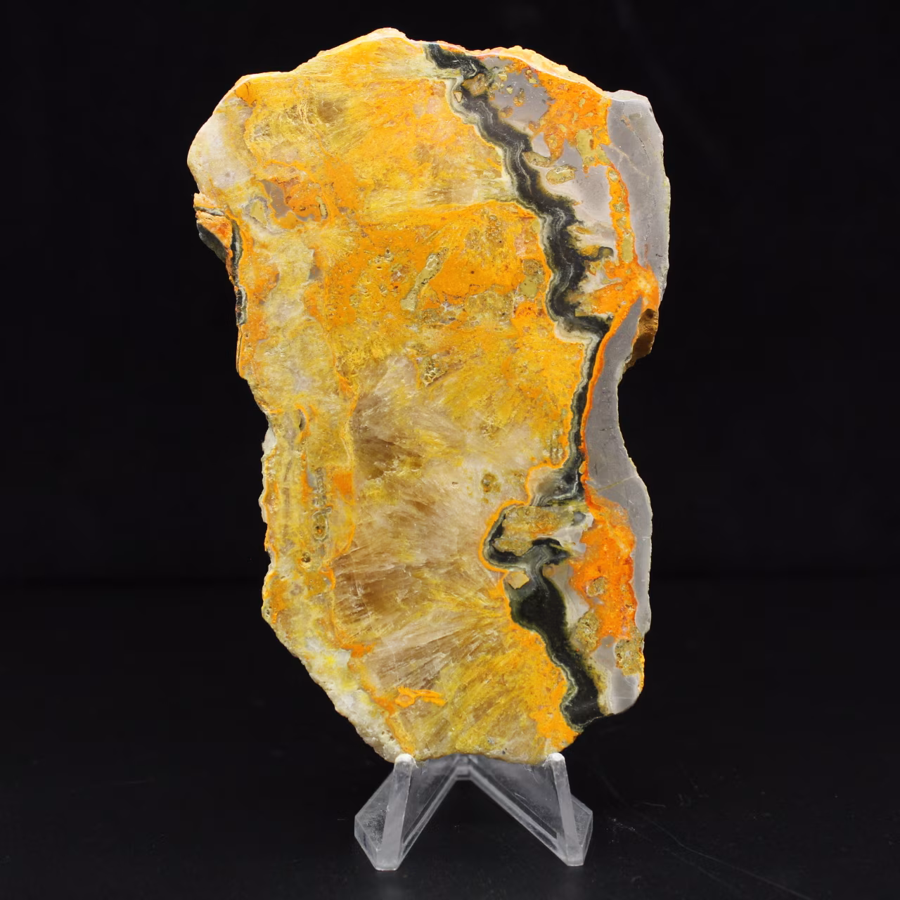 Bumblebee Jasper: collector's specimen